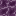 Chorus Plant in Minecraft