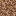 Rooted Dirt in Minecraft